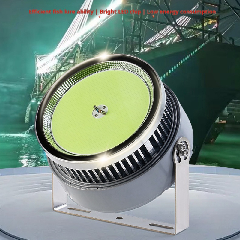 1000 Watt Led Fish Light For O - Outdoor Lighting Wall Mount のレビューと価格