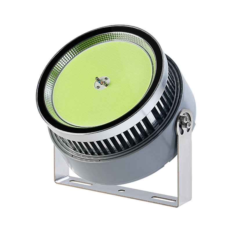 1000 Watt Led Fish Light For O - Outdoor Lighting Wall Mount のレビューと価格