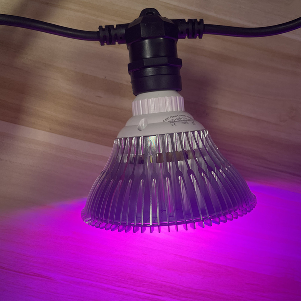 10M Cable LED String Commercia - Outdoor Lighting Globes のレビューと価格