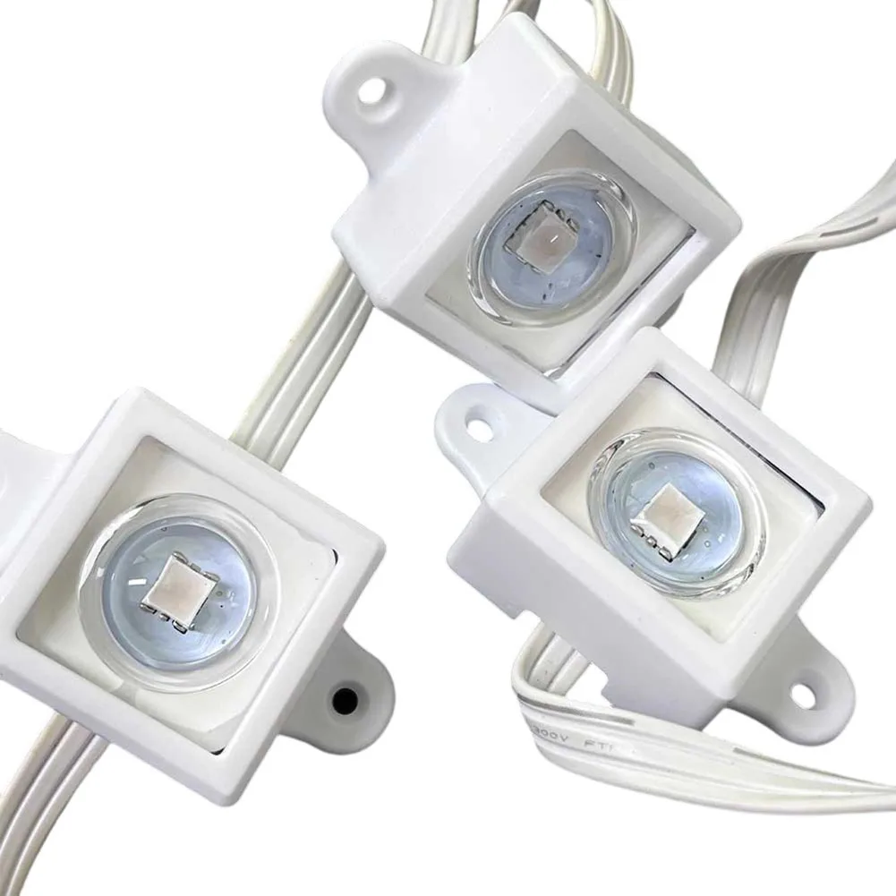 40/80Pcs Festival Light Clips  - Outdoor Lighting Govee のレビューと価格