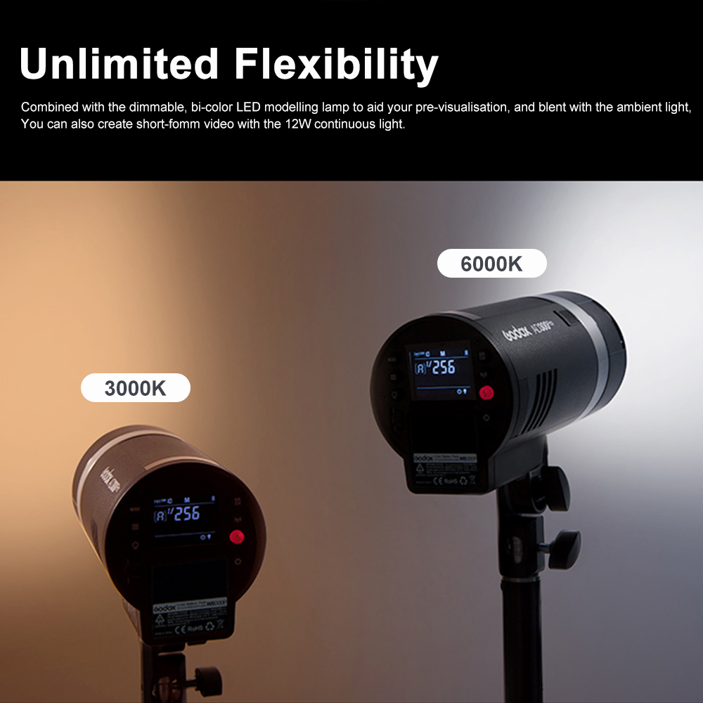 Godox AD300Pro Outdoor Flash L - Outdoor Lighting Kit Photography のレビューと価格