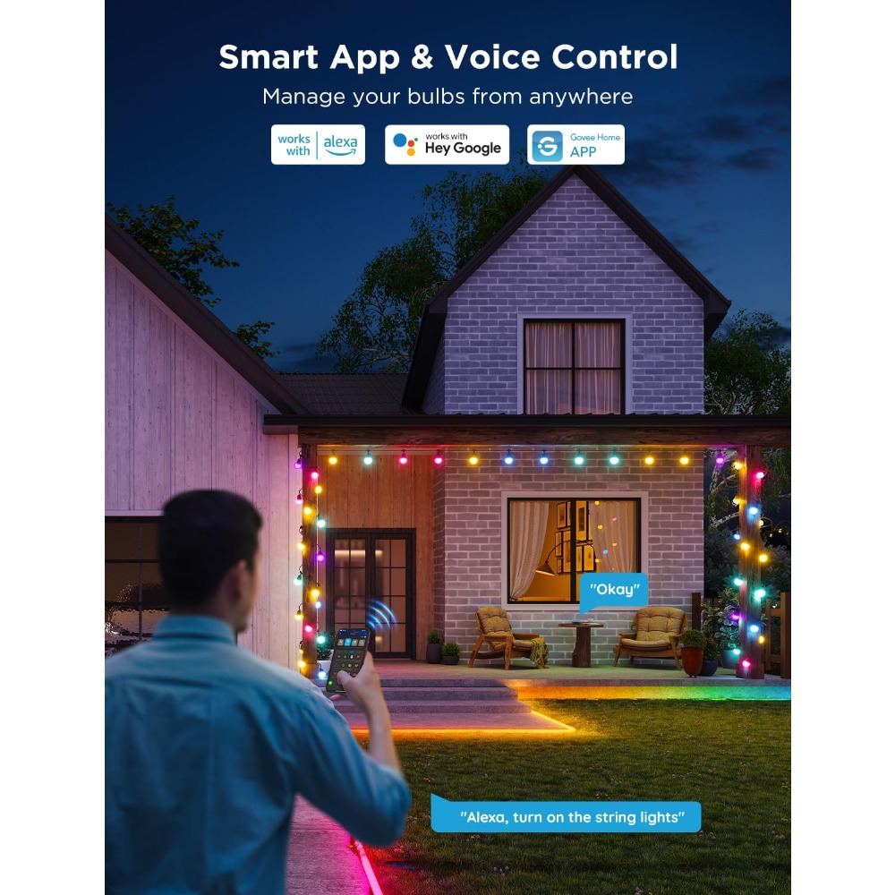 Govee Smart Outdoor String Lig - Outdoor Lighting Govee のレビューと価格